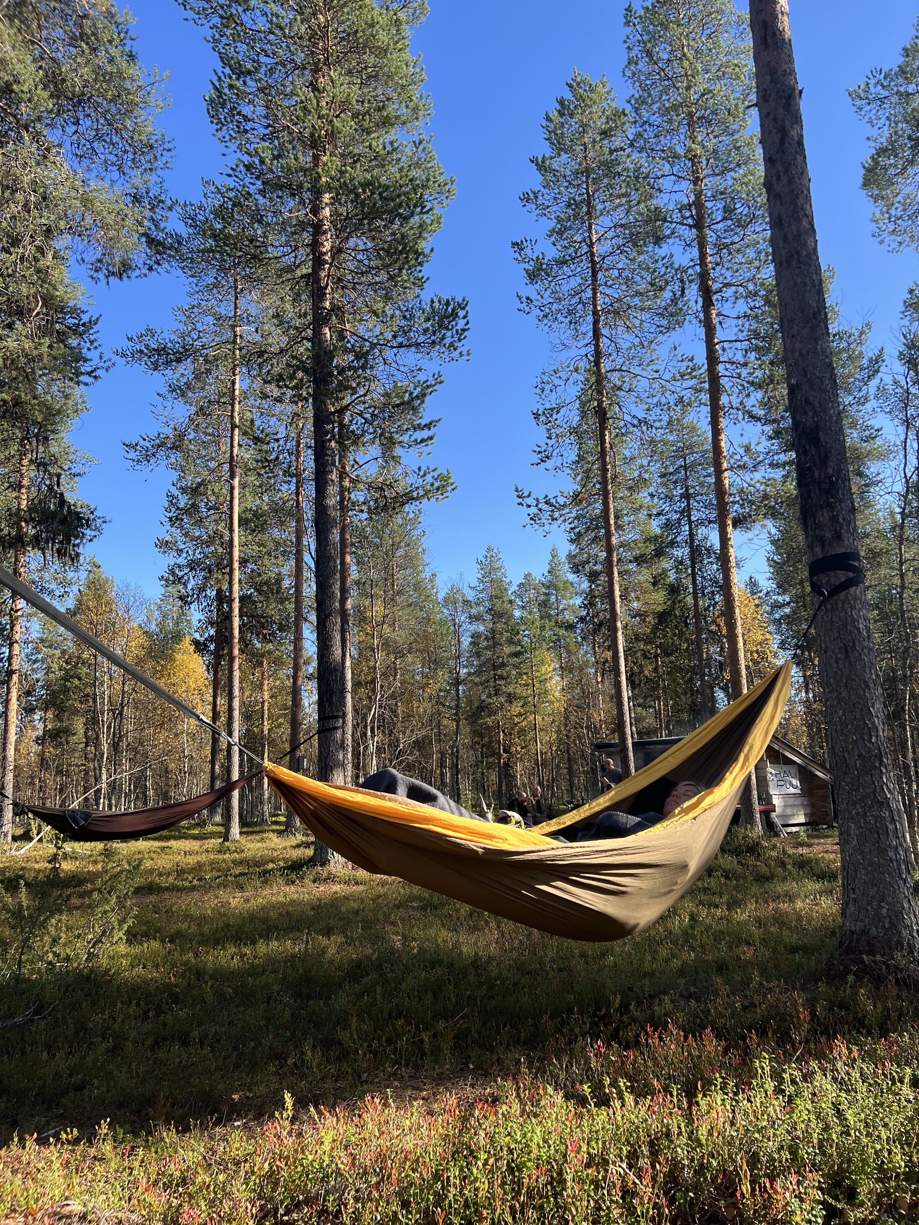 Hägematten-Auszeit im Halipuu-Wald: Foto: M. Trinius
