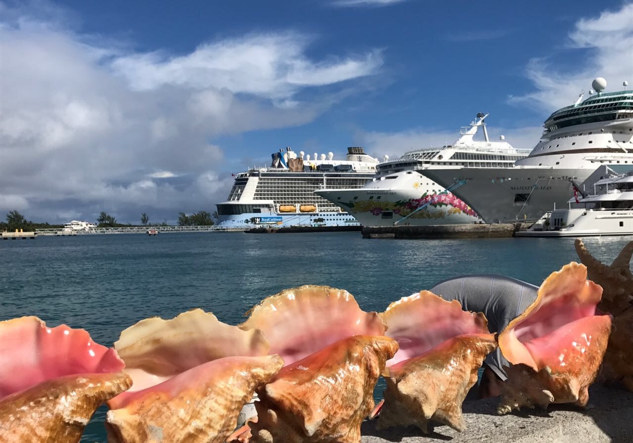 Nassau auf den Bahamas ist ein beliebter Kreuzfahrthafen. Und Conch in schönster Form gibt es hier auch zu sehen  Foto: Antonia Kasparek