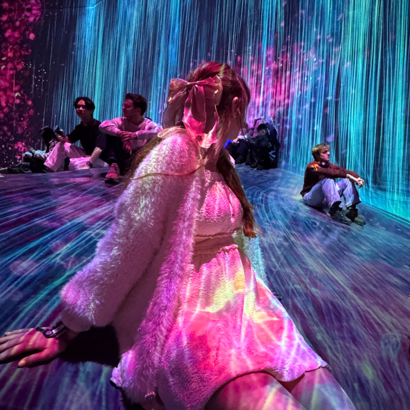 Auf dem Bild: Team Lab Borderless. Foto: M.Weller