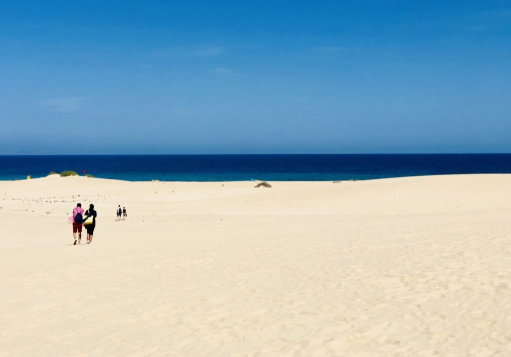 Fuerteventura ist für seine Strände mit feinem, leuchtend hellen Sand vor blauem Wasser berühmt Foto: Marita Trinius