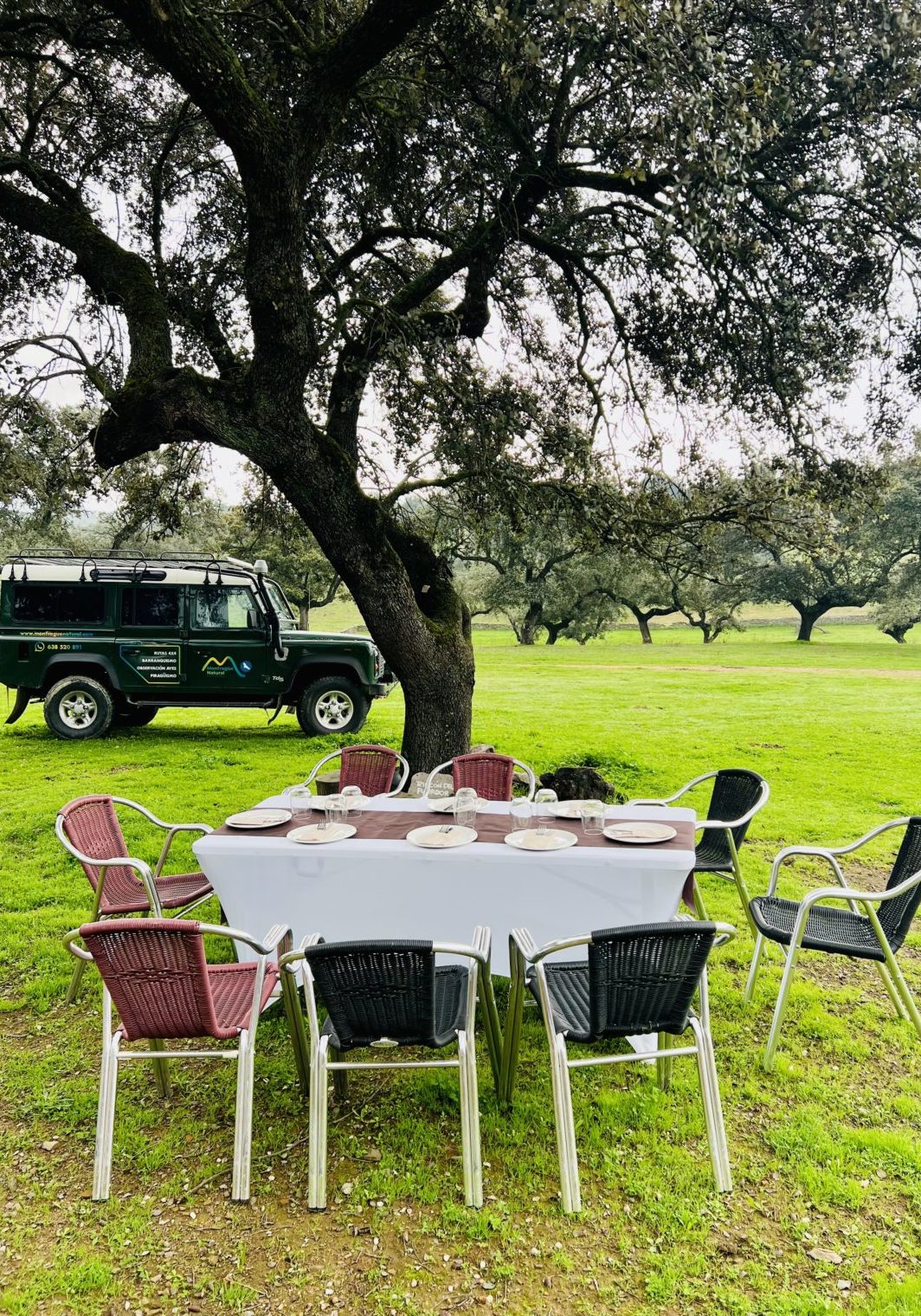Picknick im Grünen in Malpartida de Plasencia. Foto: M. Trinius