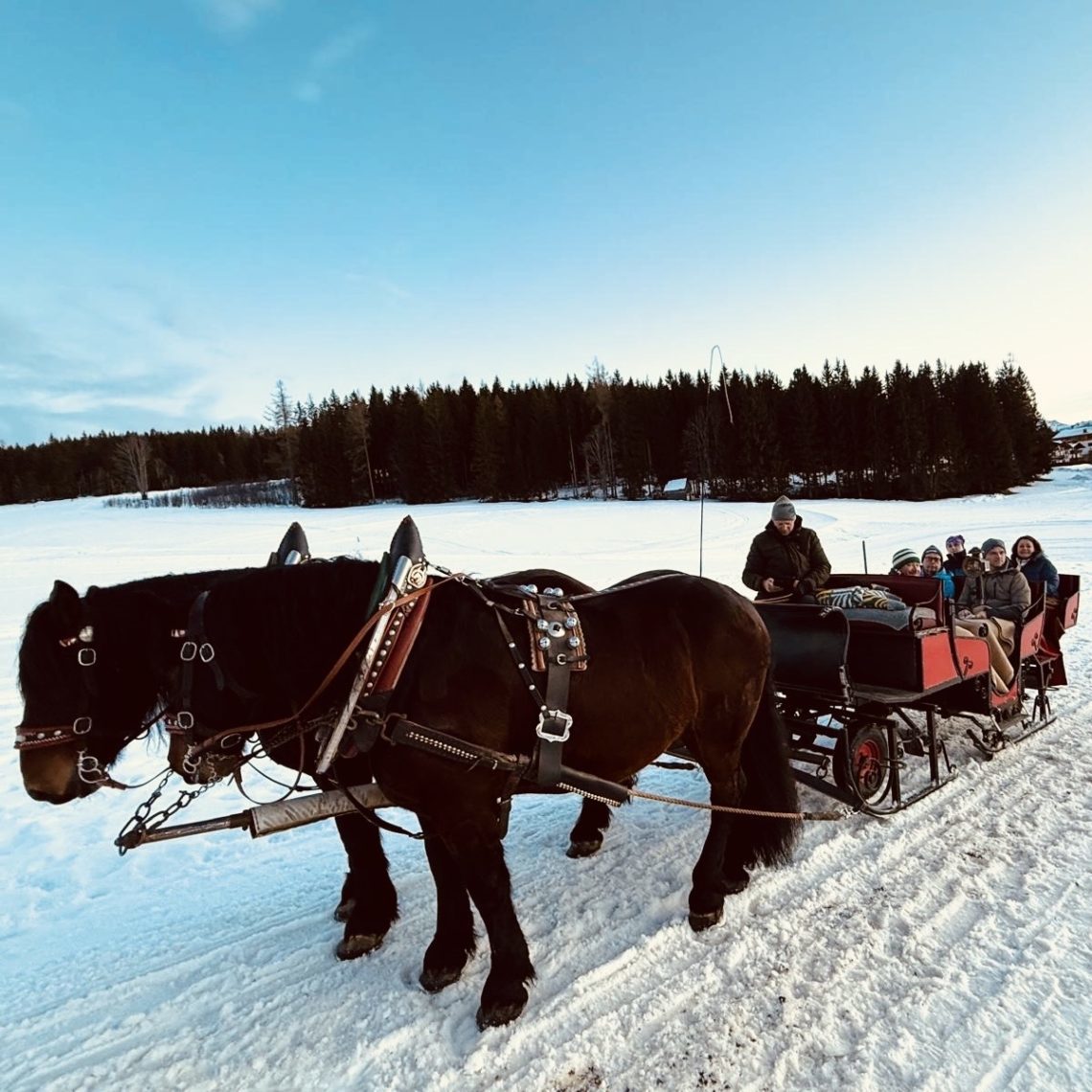 Entspannung pur: eine Fahrt mit dem Pferdeschlitten. Foto: Sandra Malt