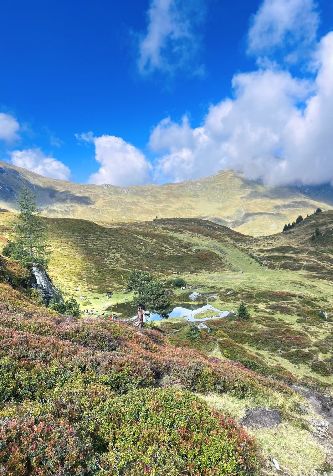 Wanderung über die idyllische Leidalm. Foto: M. Trinius