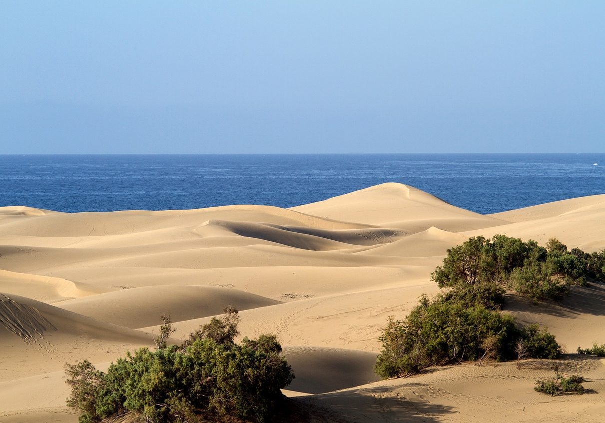 Erhabene Naturschönheit: Dünenlandschaft biei Maspalomas im Süden Gran Canarias