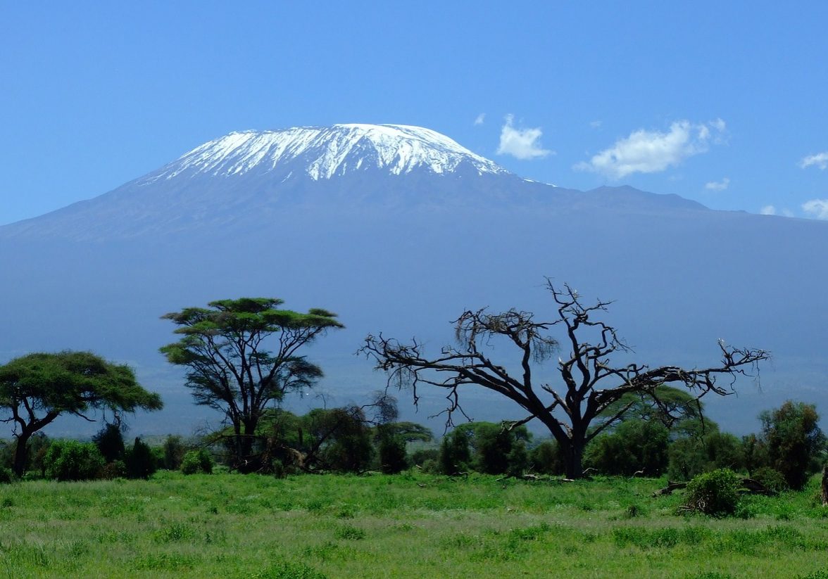 Safari am Kilimandscharo