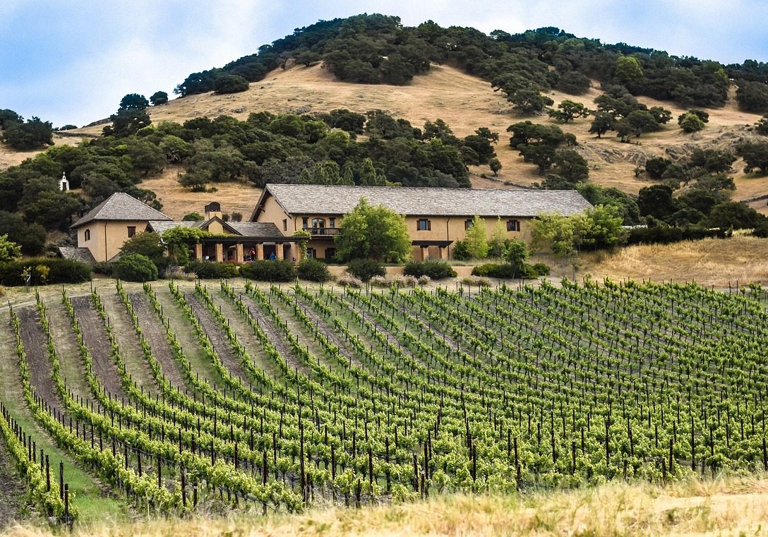 Die besten Weine der USA kommen aus dem Napa Valley in Kalifornien